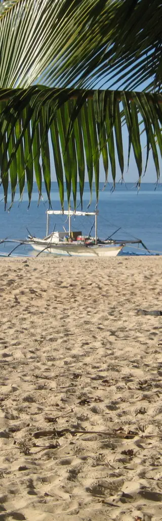 Tauchreisen Philippinen Visaya